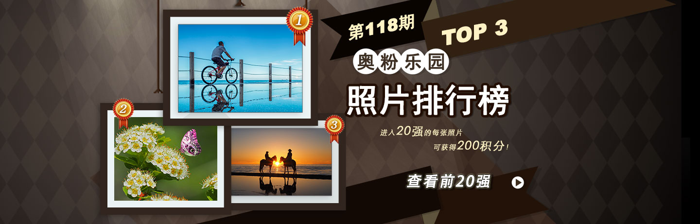 奥粉乐园排行榜