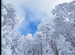 即使在冰天雪地的山间也能安心地尽情拍摄