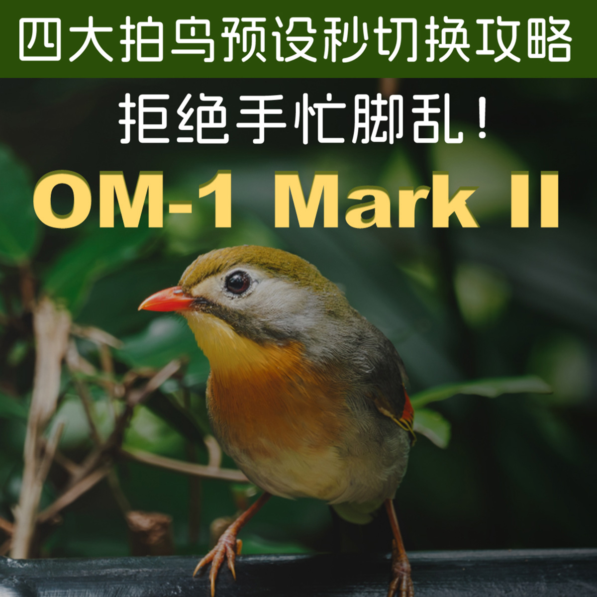 四大拍鸟预设秒切换攻略 拒绝手忙脚乱！