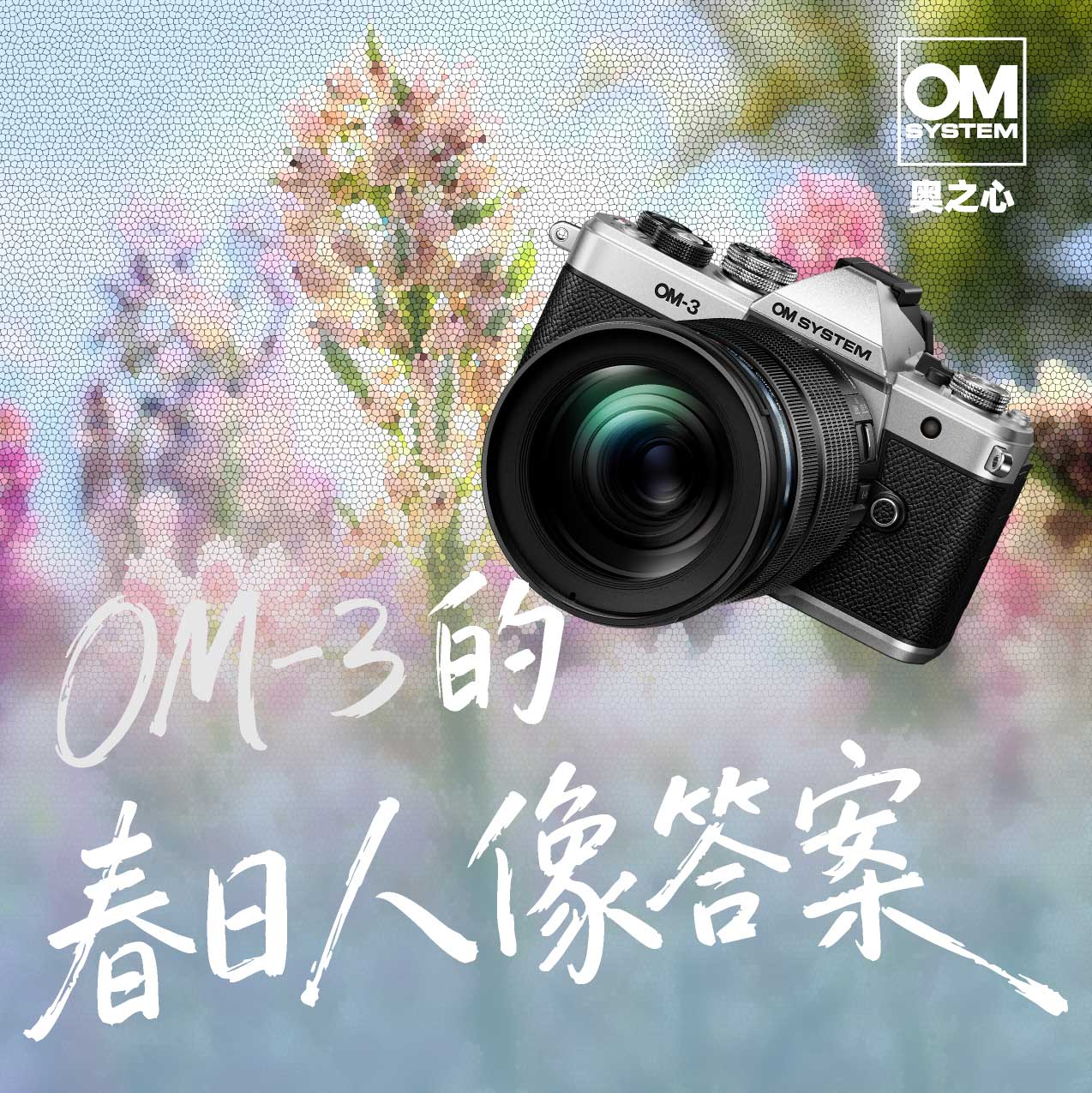 OM-3 的春日人像答案