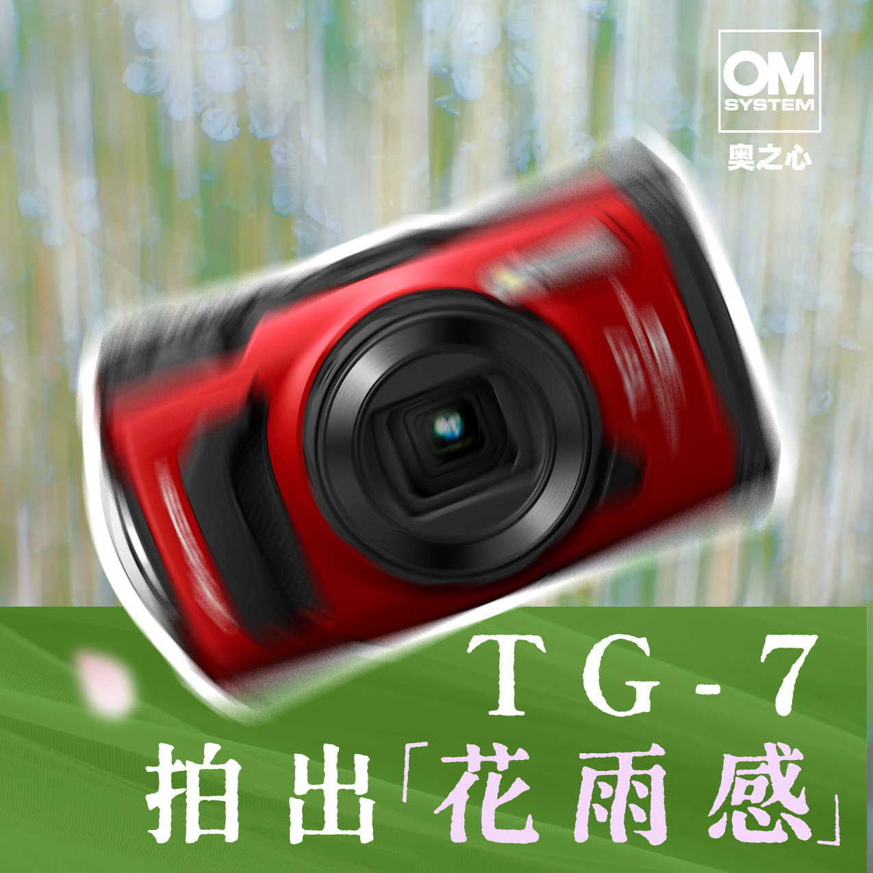 TG7拍出花语感