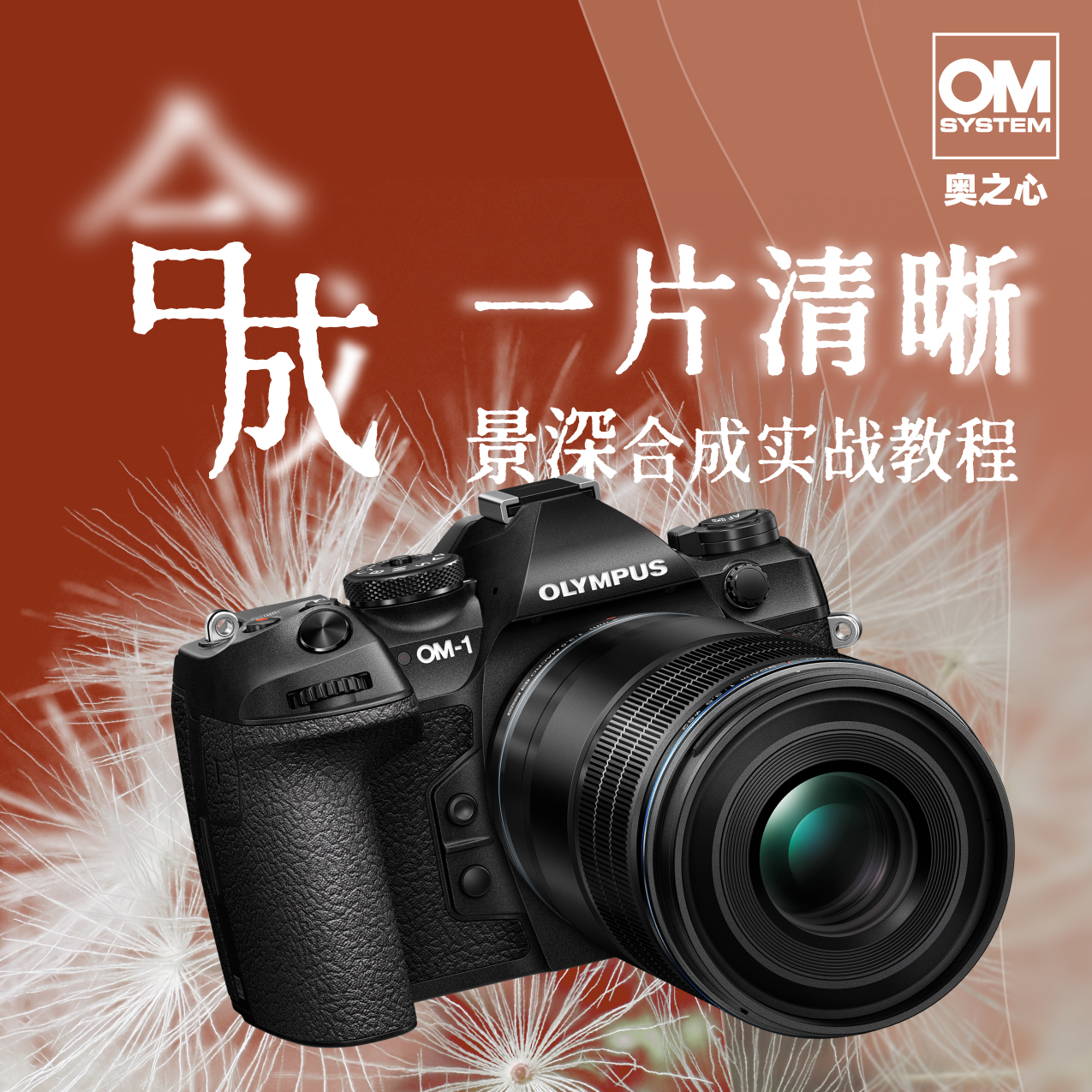 奥之心景深合成实战教程！