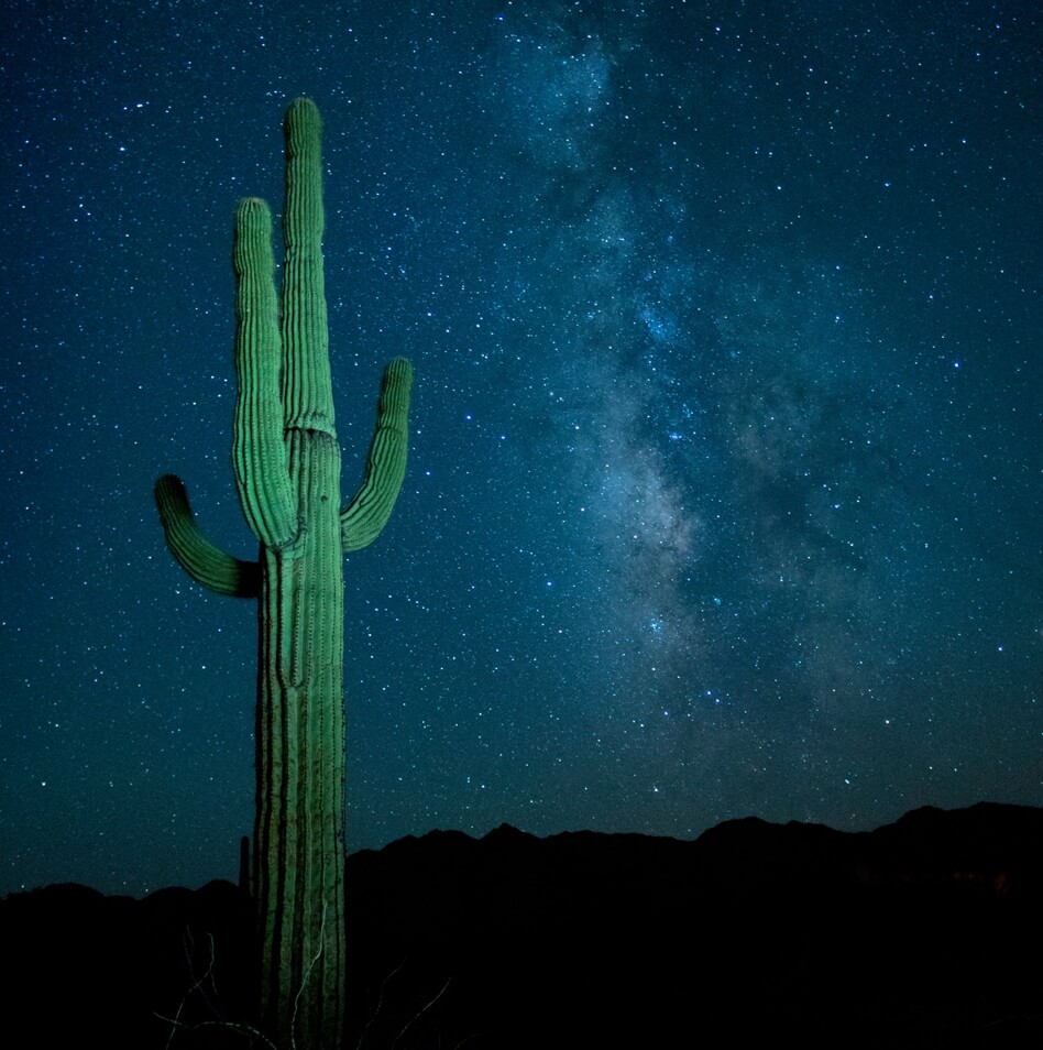 Sonoran Desert National Monument Night Sky