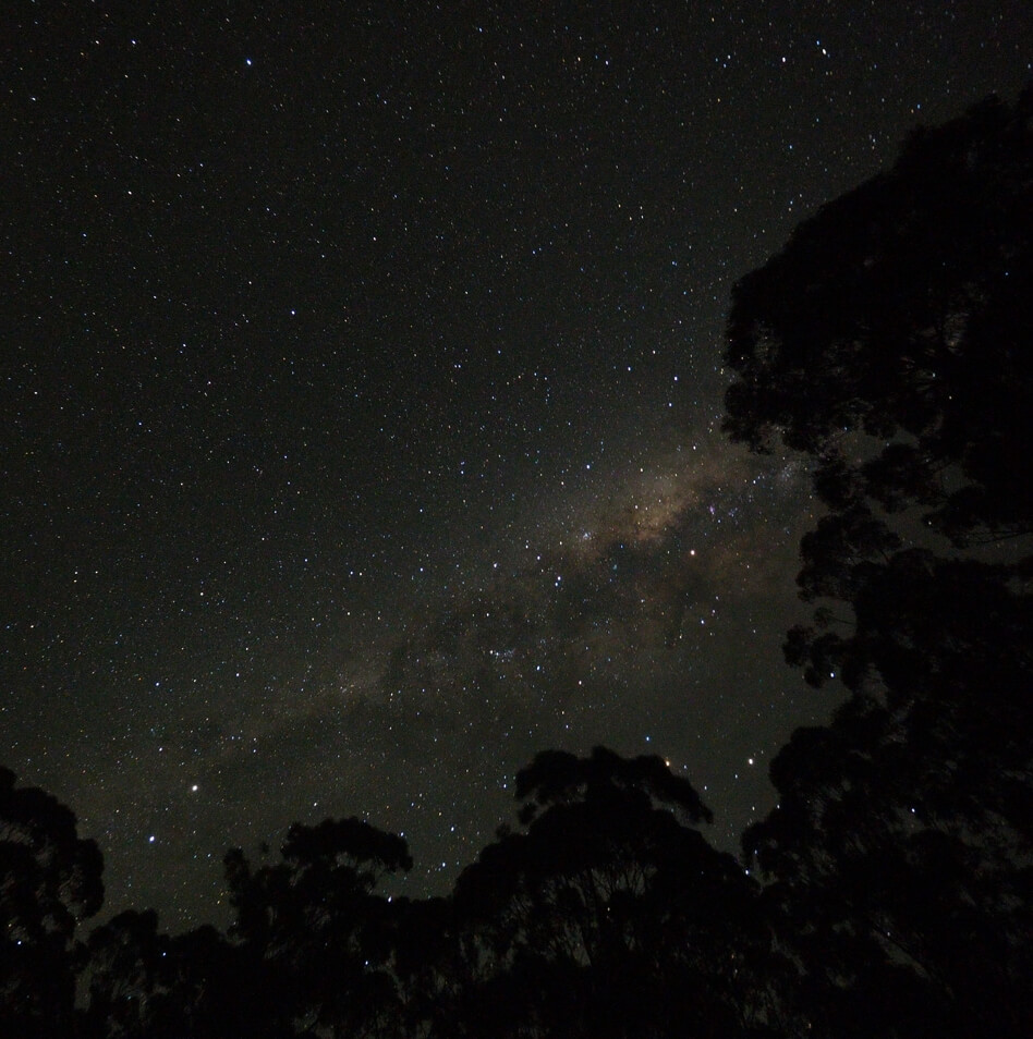Great Otway National Park Night Sky