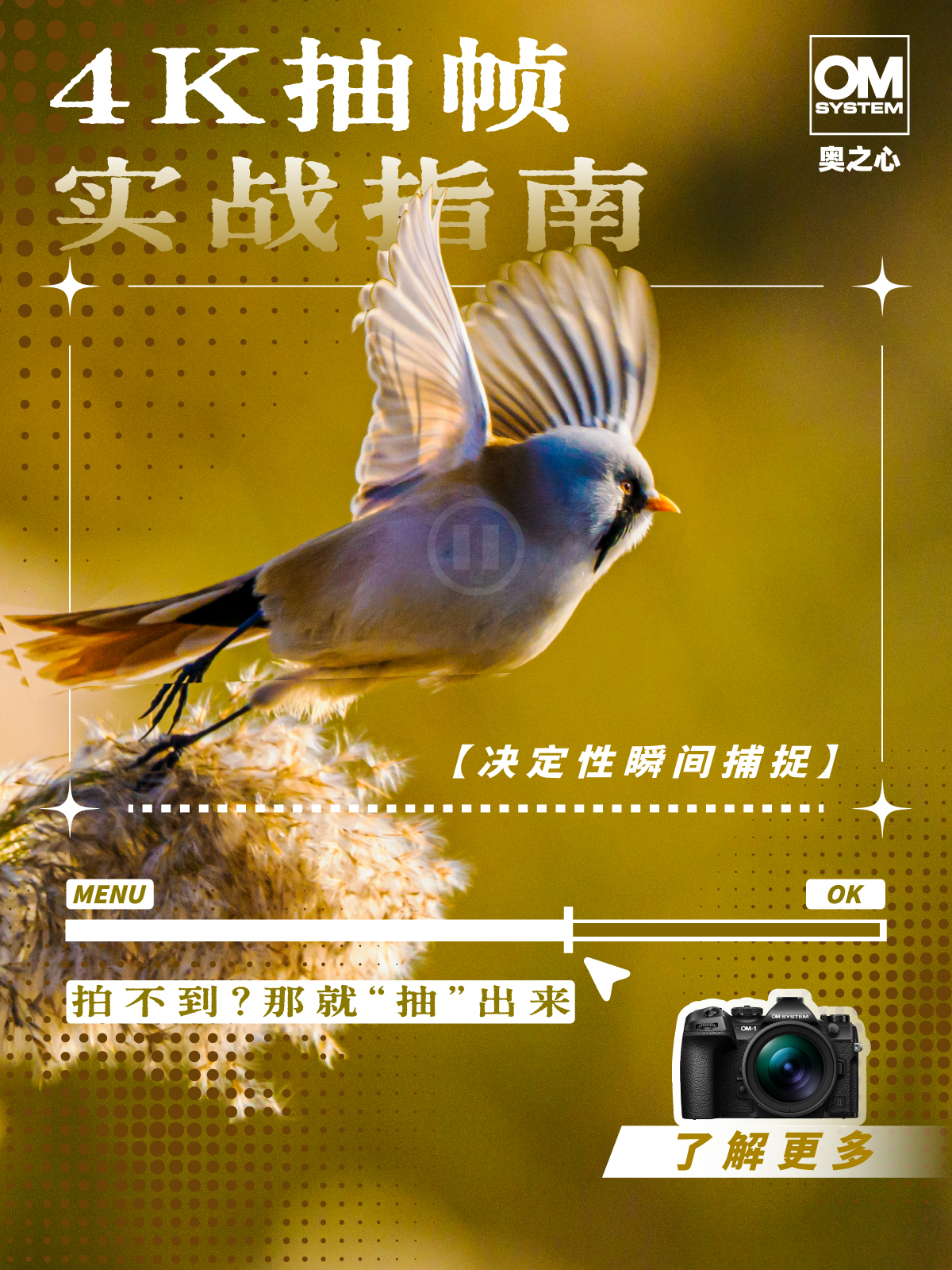 4K抽帧·奥之心机内视频转照片操作指南