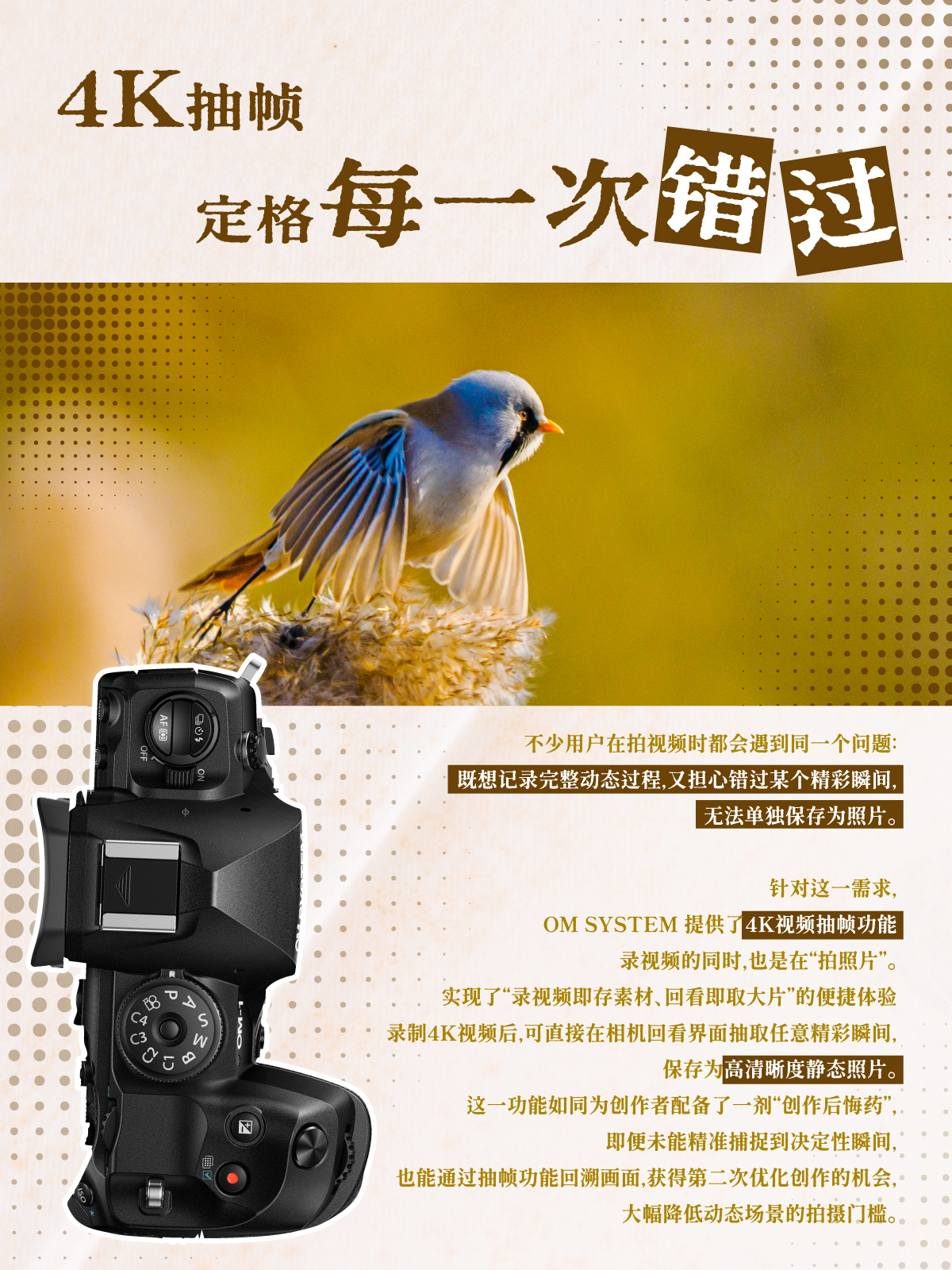 4K抽帧·奥之心机内视频转照片操作指南