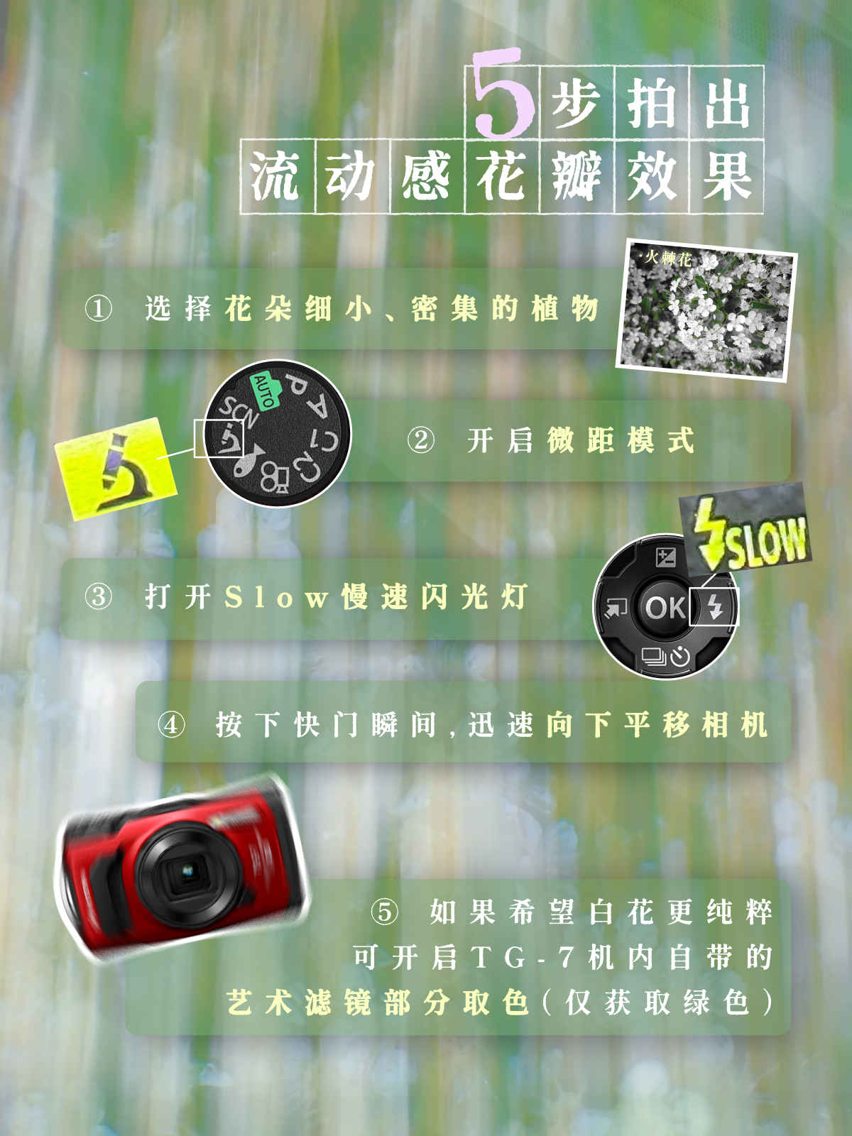 TG7拍出花语感