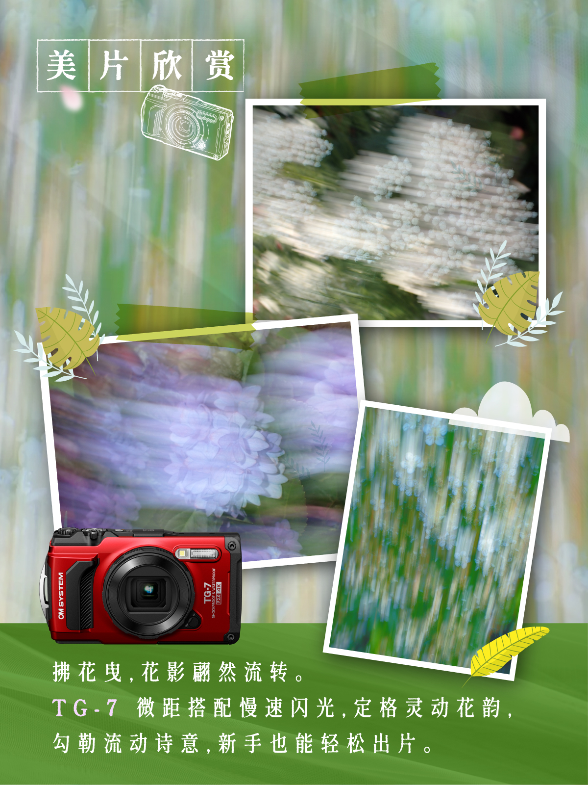 TG7拍出花语感