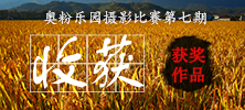 奥粉乐园摄影比赛第七期《收获》