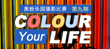 奥粉乐园摄影比赛第九期《COLOUR YOUR LIFE》