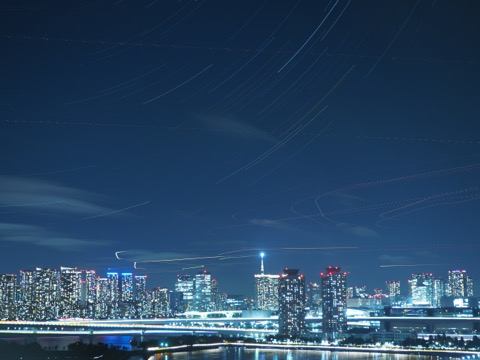 样照 13