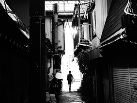 样照13