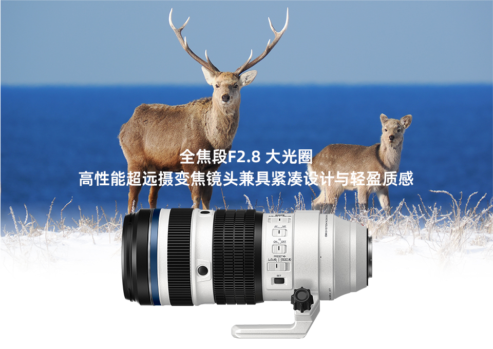 全程搭载F2.8大光圈 这款高性能超远摄变焦镜头兼具小巧机身与轻盈质感