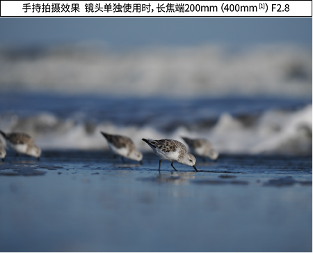 手持拍摄效果  镜头单独使用时，长焦端200mm（400mm [1]）F2.8