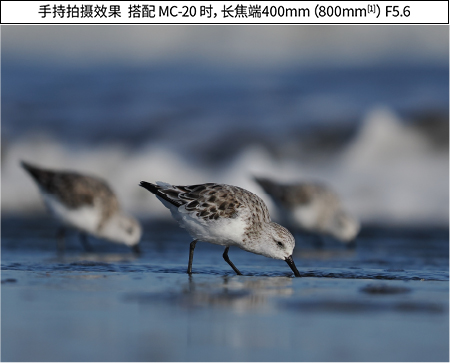手持拍摄效果  搭配 MC-20 时，长焦端400mm（800mm[1]）F5.6