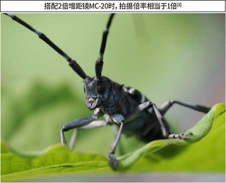 搭配2倍增距镜MC-20时，拍摄倍率相当于1倍[1]