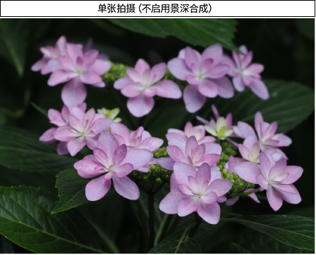 单张拍摄（不启用景深合成）