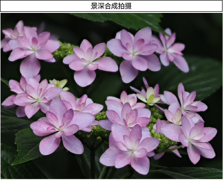 景深合成拍摄