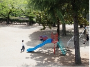 彩色胶片 柔和色调