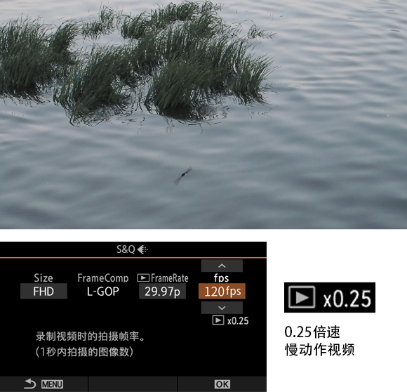 慢动作