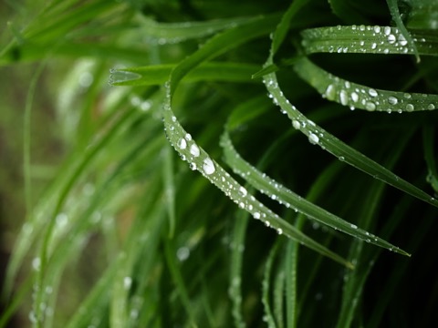 样照 3