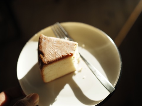 样照 11