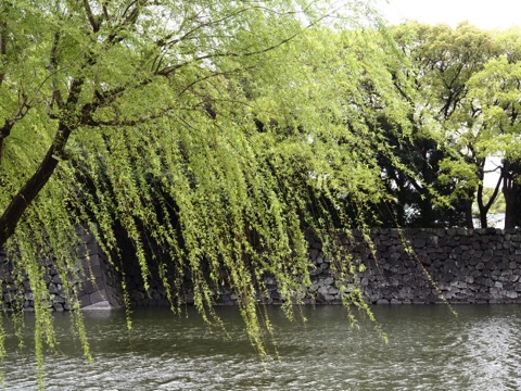 样照 14