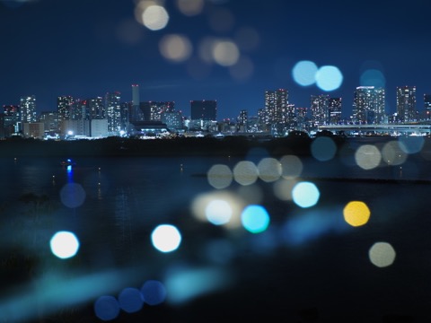 样照 22