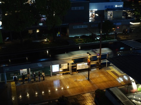 样照 30